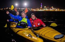 Auckland City Lights Night Kayaking Tour