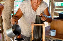 Immerse in Dominican Culture: Private Community Tour