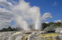 Small Group Waitomo and Rotorua including Te Puia Tour