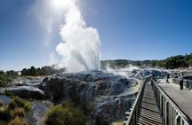 Small Group Waitomo and Rotorua including Te Puia Tour