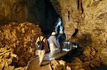 Waitomo Spellbound Glowworm Caves Small Group Tour from Auckland