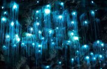 Waitomo Spellbound Glowworm Caves Small Group Tour from Auckland