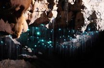 Waitomo Spellbound Glowworm Caves Small Group Tour from Auckland