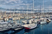 Auckland Half Day Tour Through Urban Wonders