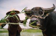 Countryside Adventure Private Tour by Electric Car