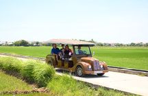 Countryside Adventure Private Tour by Electric Car