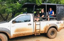 Yala National Park Safari From Hambantota Port