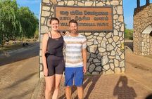 From Ella: Private Yala Safari & Transfer/Tangalle/Mirissa/Galla