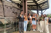 Private DMZ Tour and Suspension Bridge + Korean BBQ