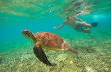 Private Snorkeling in 3 GiIi Islands