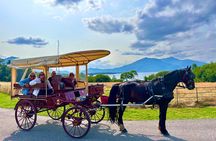 Killarney Jaunting Car Tour
