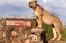 Nairobi National Park Game Drive