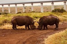 Nairobi National Park Game Drive