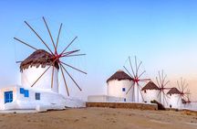 Half Day Mykonos Shore Excursion from Cruise Port