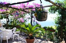 Marì Cooking Class in a Family Farm with Amalfi Coast view