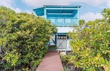 Full-Day Island Experience & Boat Tours in Aruba with Nos Isla