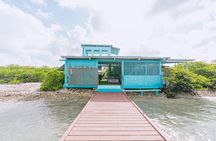 Full-Day Island Experience & Boat Tours in Aruba with Nos Isla