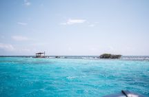 Half-Day snorkel Experience in Aruba with Nos Isla