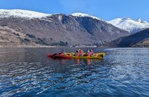 Olden: easy Kayaking for beginners om the fjord 
