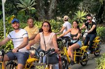 Private One and a Half Hour E-Bike Express Tour