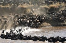 9 Days Northern Circuit Safari Serengeti Migration Focus