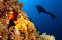 Dubrovnik 1 Dive for Certified Divers