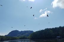 Langkawi Mangrove Boat Tour at Kilim Geoforest Park