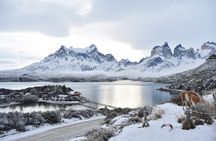 Torres del Paine 3-Day Private Tour