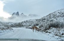 Torres del Paine 3-Day Private Tour