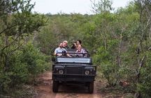 Private Full Day Guided Mkhaya Game Tour 