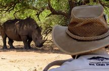 Private Full Day Guided Mkhaya Game Tour 