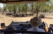 Private Full Day Guided Mkhaya Game Tour 