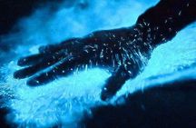 Bioluminescence & sunset local boat tour to Los Arcos Sanctuary