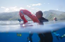 Snorkeling immersion in the wonders of Tahiti