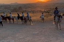 2 Hour Cappadocia Horse Riding