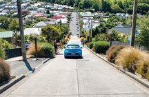 天际线 private Dunedin City & Otago Peninsula Day Tour (up to 8 )
