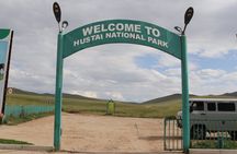 Mongol Nomadic & Khustai National Park Private Full Day Tour 
