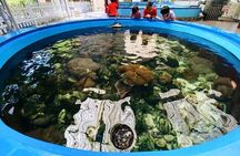 Exploring Nha Trang City Half Day Tour