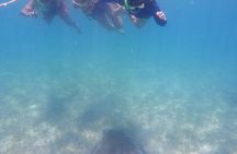 Swim with Turtles in Akumal + GoPro Photo Session 
