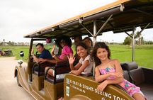 Village Adventure Private Tour by Electric Car