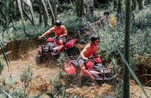 Ubud ATV Quad Bike Adventure with Lunch and Cretya Pool Access