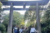 1 Day Tokyo Private Custom Tour