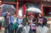 1 Day Tokyo Private Custom Tour