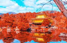 Kyoto Full day Tour Kinkakuji, Kiyomizu-dera and Fushimi Inari 