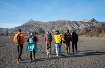 Mount Bromo English Speaking Guide Shared Tour from Surabaya