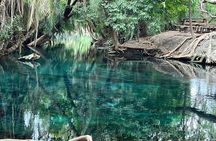 1-Day Materuni Waterfalls, Coffee Tour and Chemka Hot Spring