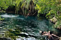 1-Day Materuni Waterfalls, Coffee Tour and Chemka Hot Spring