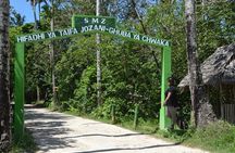 Dolphins +Jozani forest +Kuza cave +Paje beach + Rock restaurant