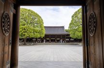 Tokyo Small Group Tour with Guide