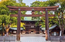 Tokyo Small Group Tour with Guide